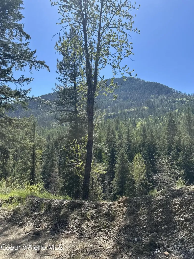 5784 River Road Clark Fork ID 83811