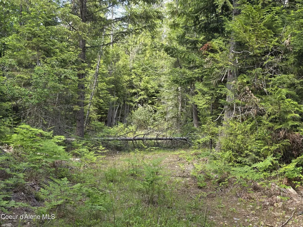 5784 River Road Clark Fork ID 83811