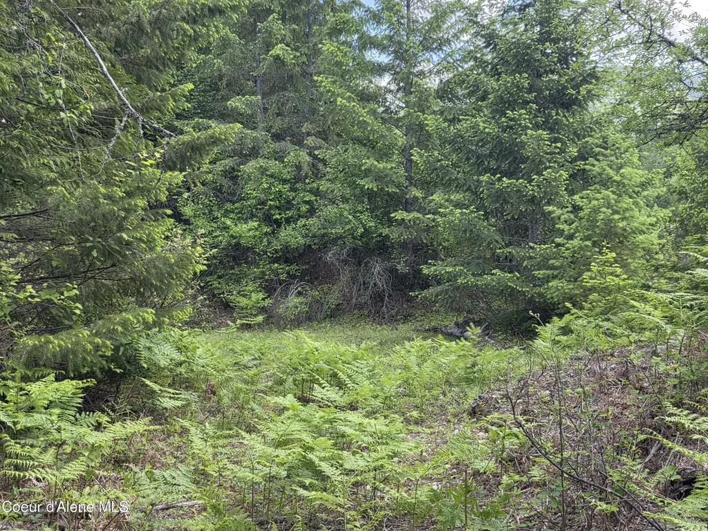 5784 River Road Clark Fork ID 83811
