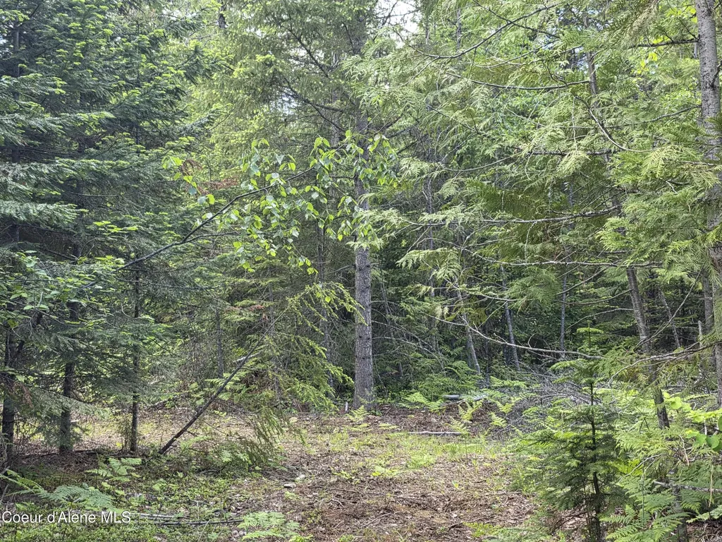 5784 River Road Clark Fork ID 83811