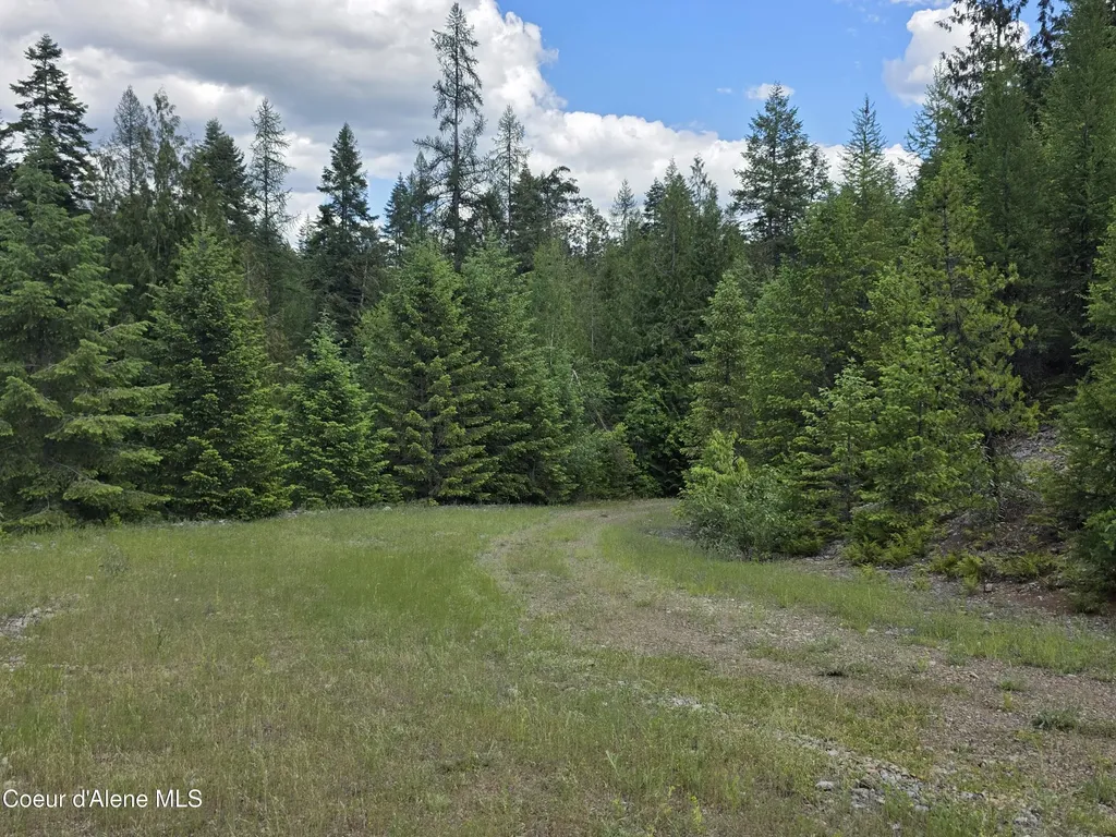 5784 River Road Clark Fork ID 83811