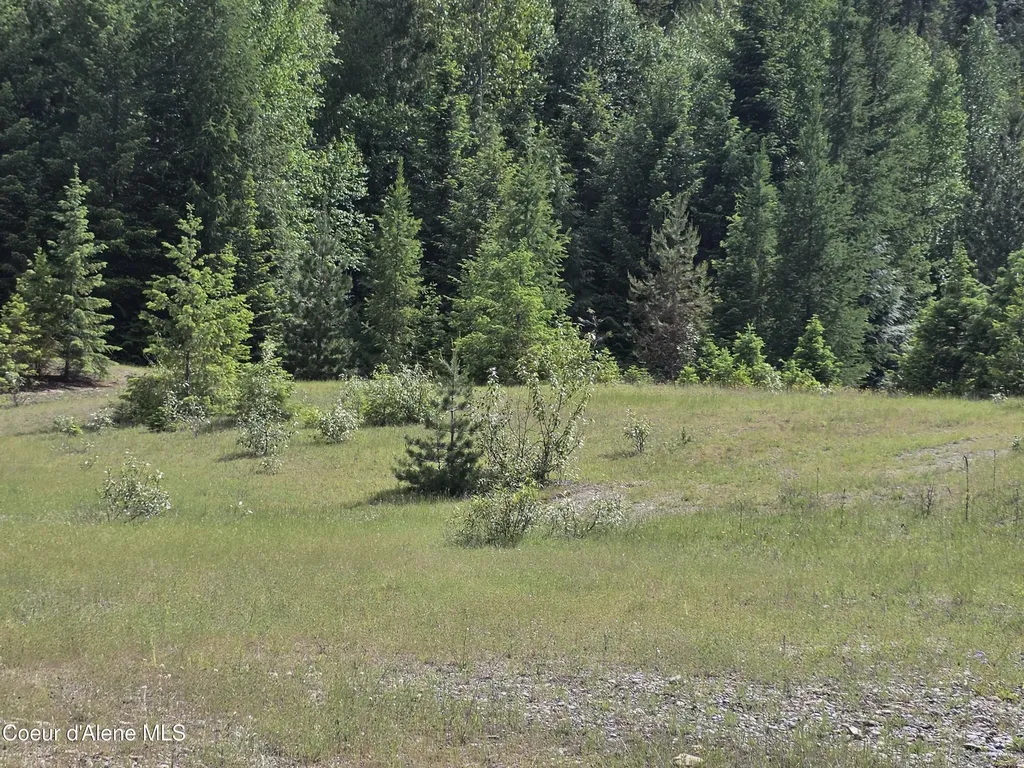 5784 River Road Clark Fork ID 83811