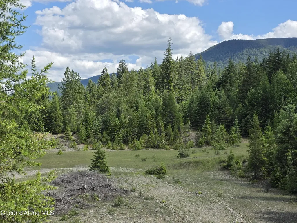 5784 River Road Clark Fork ID 83811