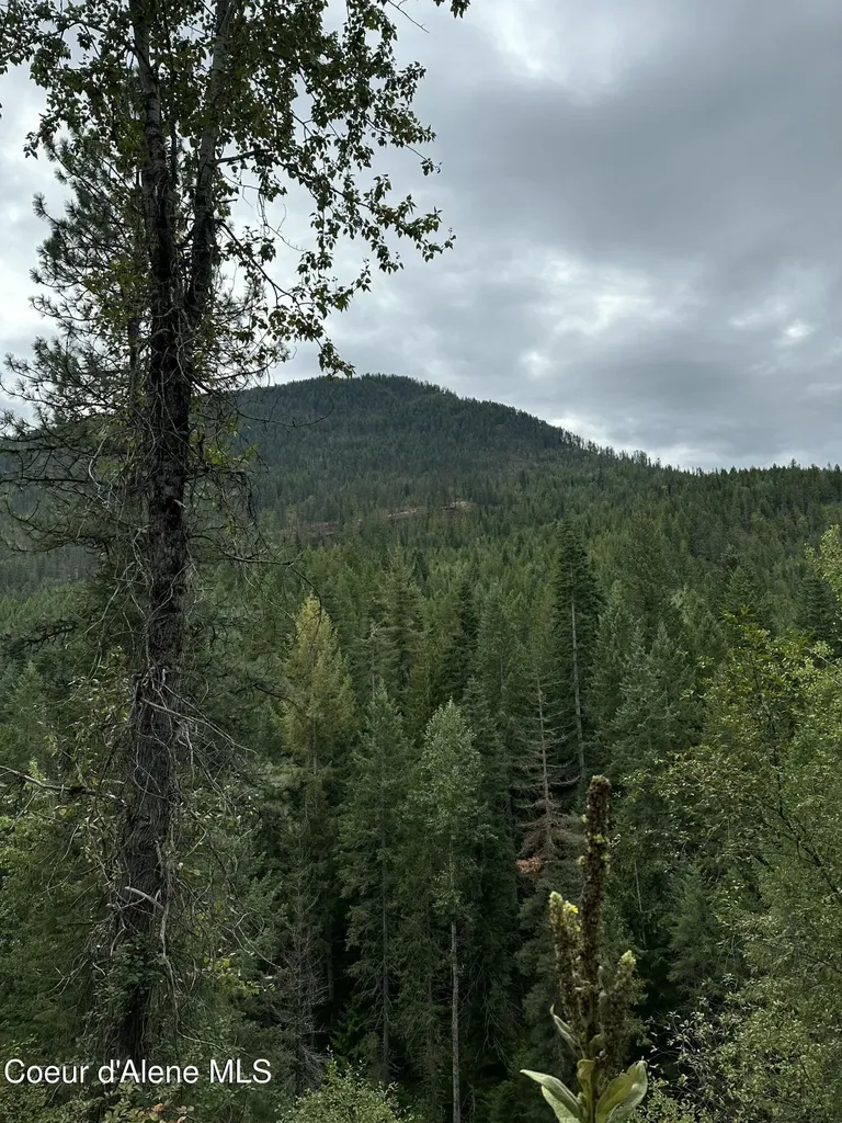 5784 River Road Clark Fork ID 83811