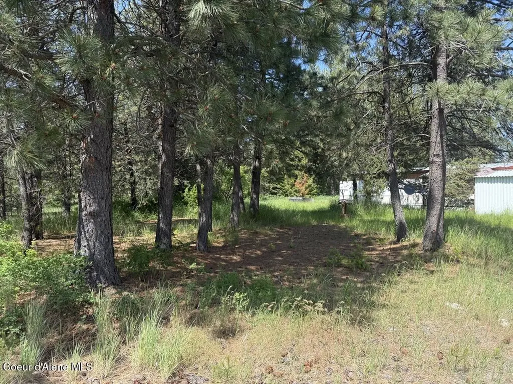 5405 E Grove Avenue Athol ID 83801