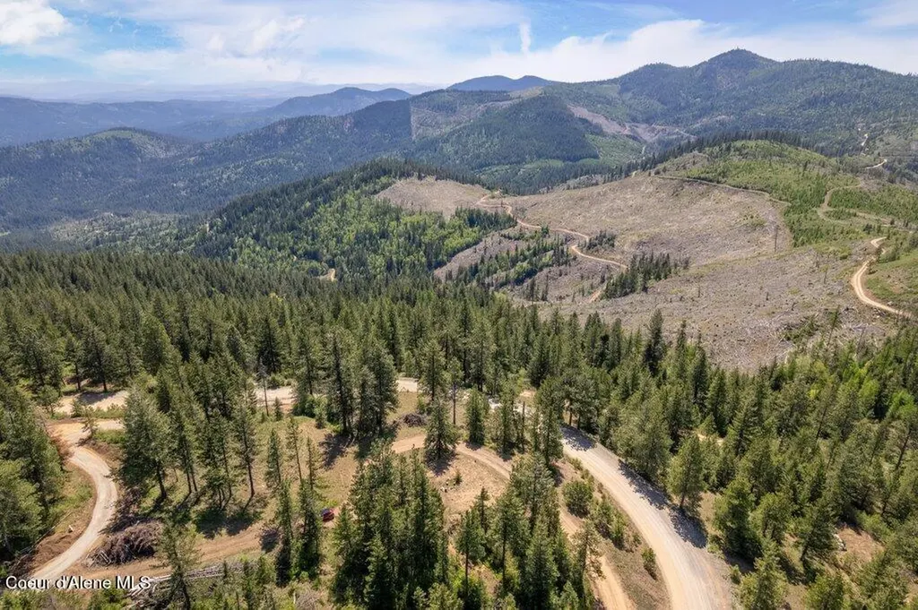 Lot 1 Block A Blossom Mountain Estates Post Falls ID 83854