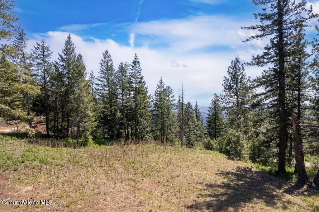 Lot 1 Block A Blossom Mountain Estates Post Falls ID 83854