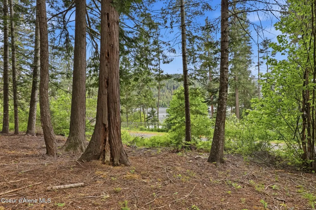 8993 W Twin Lakes Road Rathdrum ID 83858