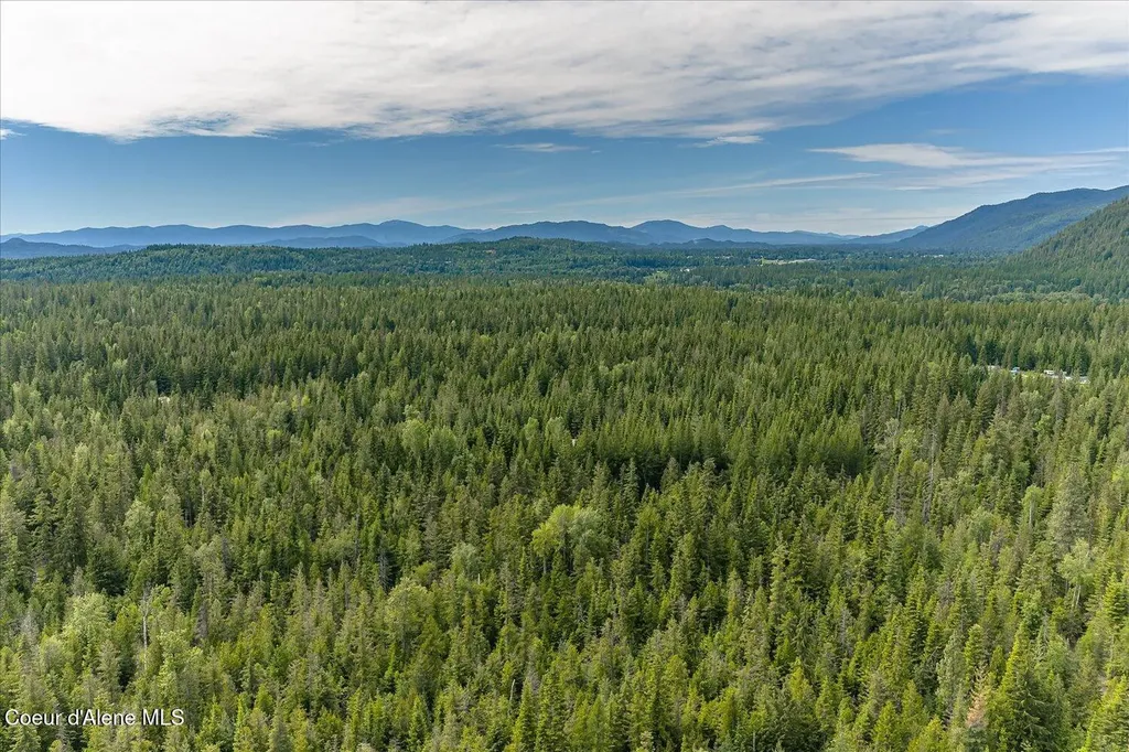 508 Cedar Grove Sandpoint ID 83864