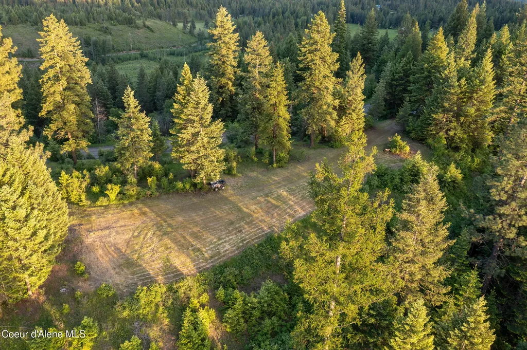 Lot 2 Ridgeview Drive St. Maries ID 83861