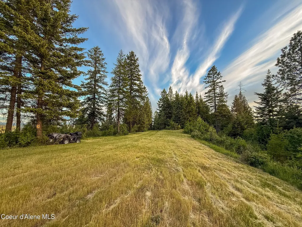 Lot 2 Ridgeview Drive St. Maries ID 83861