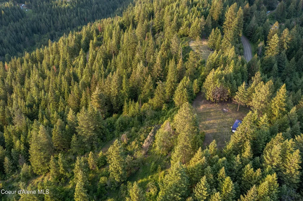 Lot 2 Ridgeview Drive St. Maries ID 83861