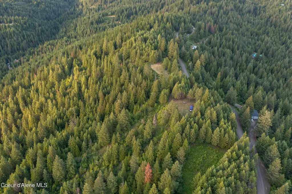 Lot 2 Ridgeview Drive St. Maries ID 83861
