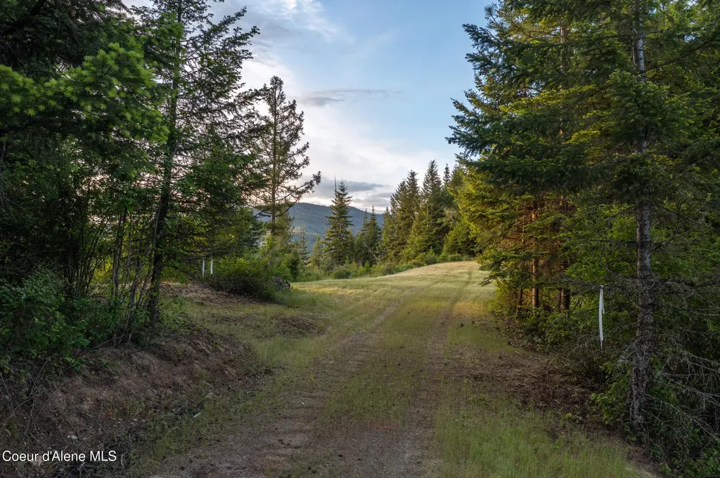 Lot 2 Ridgeview Drive St. Maries ID 83861