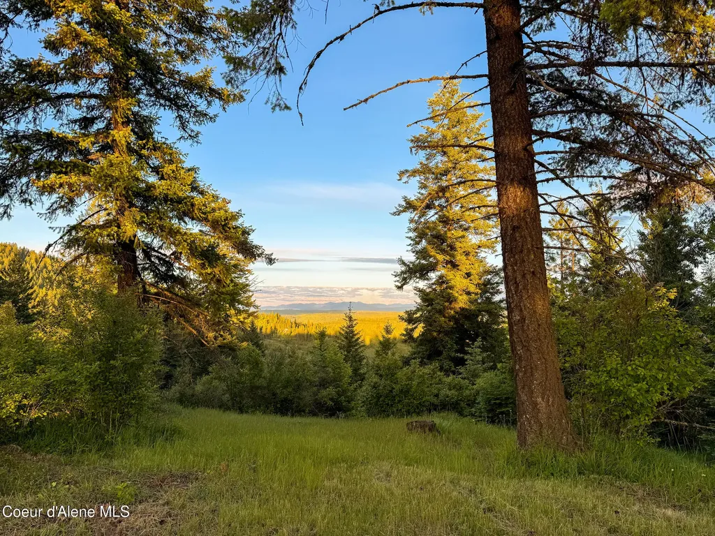 Lot 2 Ridgeview Drive St. Maries ID 83861