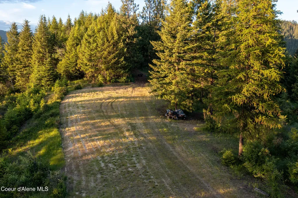 Lot 2 Ridgeview Drive St. Maries ID 83861
