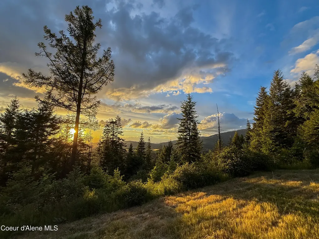 Lot 2 Ridgeview Drive St. Maries ID 83861