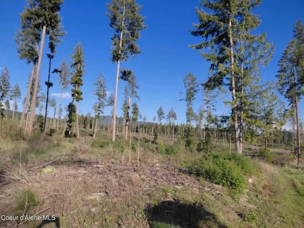 Nna This Way Road Lot 1 (10 Acres) Bonners Ferry ID 83805