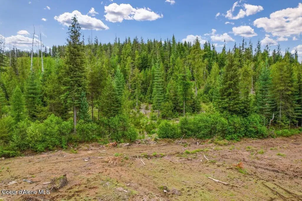 Nka Cooper Lane Lot 1b Nordman ID 83848