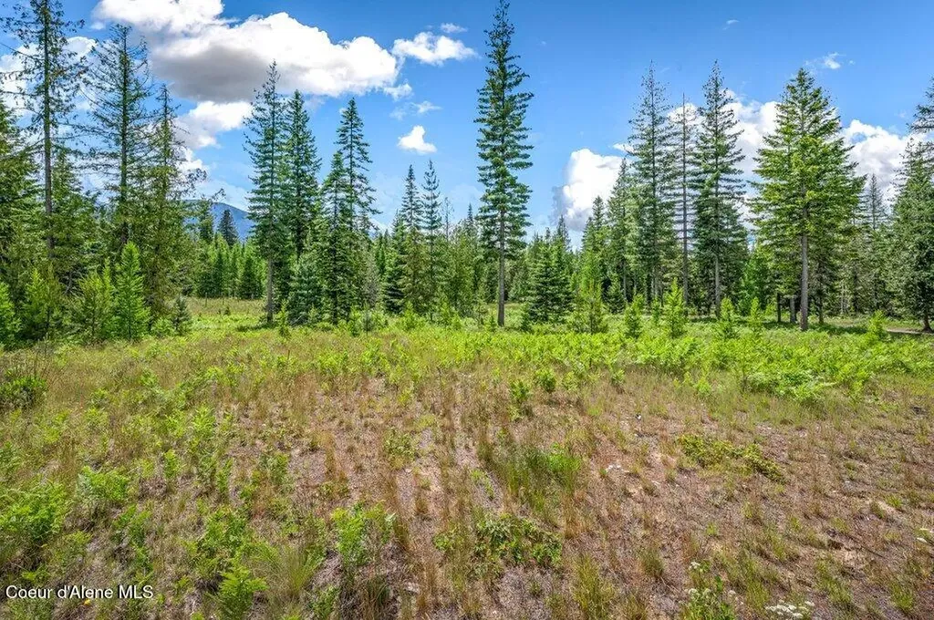 317 Treetop Bluff Lane Bonners Ferry ID 83805