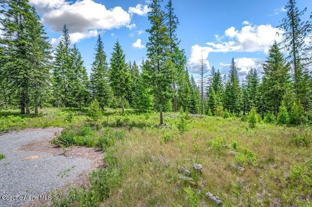 317 Treetop Bluff Lane Bonners Ferry ID 83805