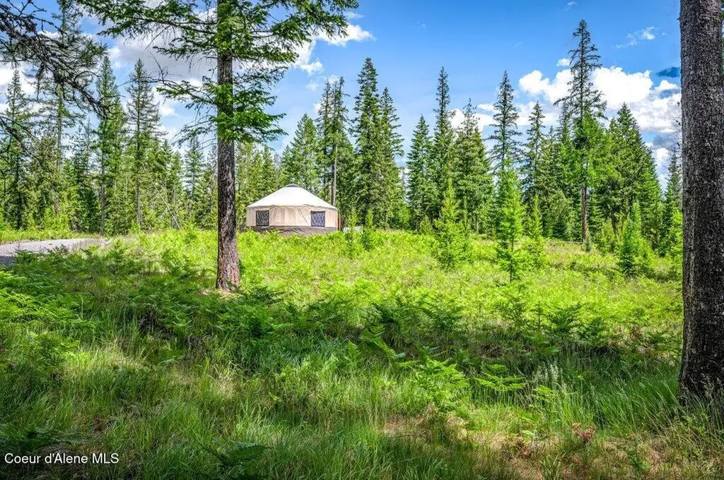 317 Treetop Bluff Lane Bonners Ferry ID 83805