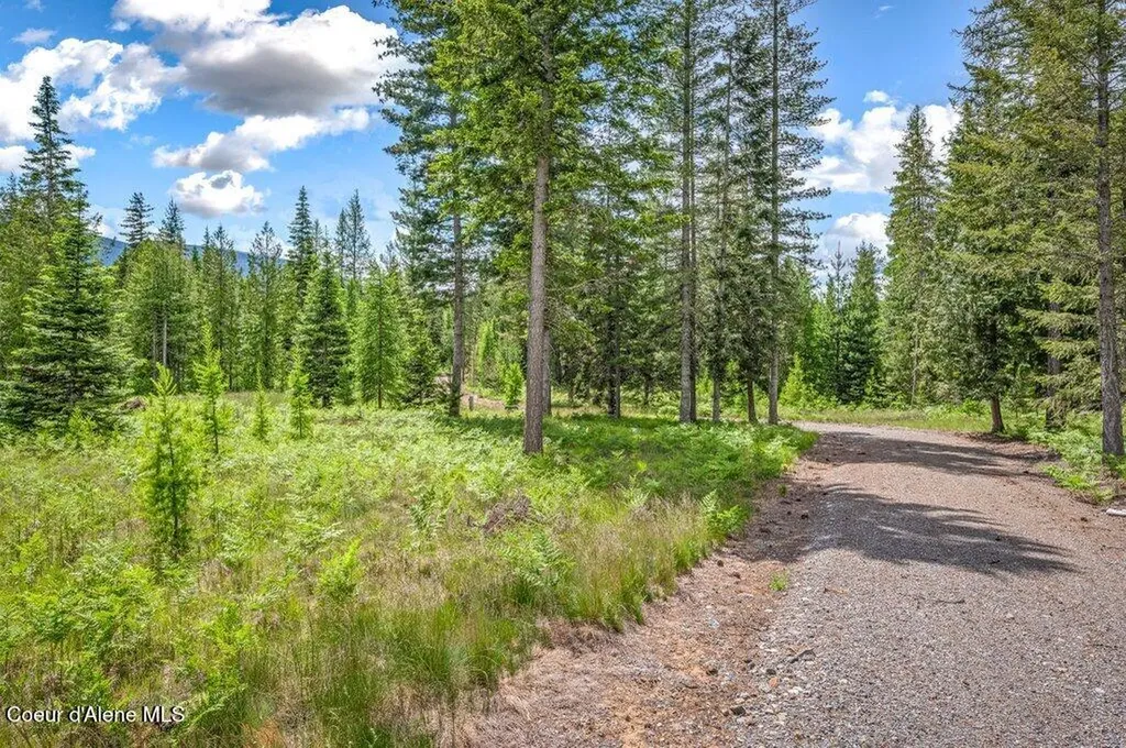 317 Treetop Bluff Lane Bonners Ferry ID 83805