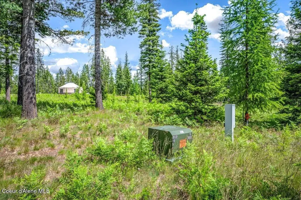 317 Treetop Bluff Lane Bonners Ferry ID 83805