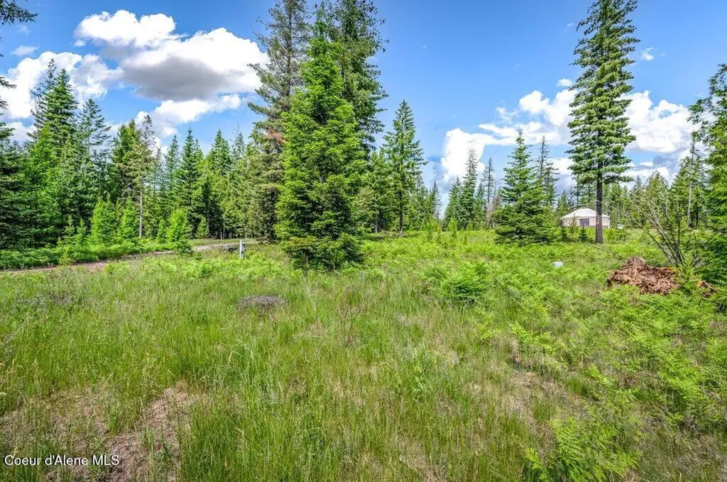 317 Treetop Bluff Lane Bonners Ferry ID 83805