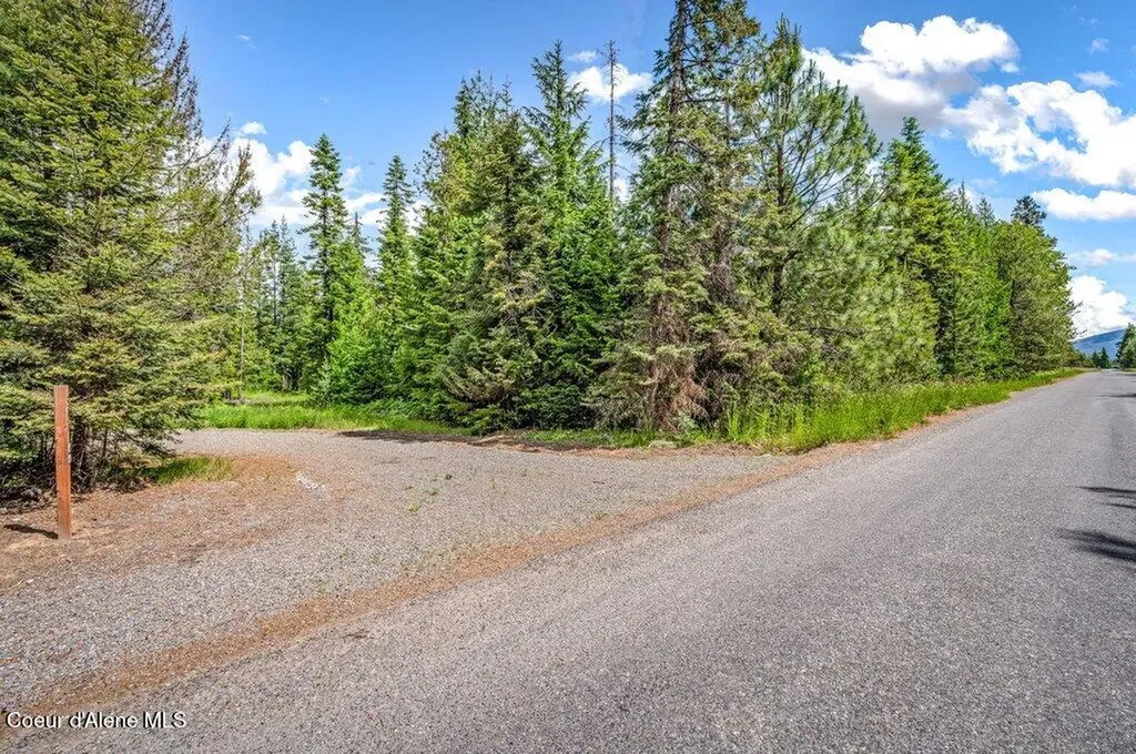 317 Treetop Bluff Lane Bonners Ferry ID 83805