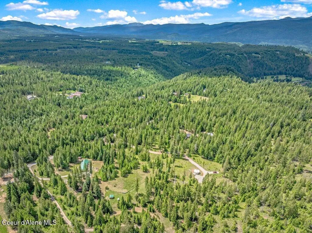 317 Treetop Bluff Lane Bonners Ferry ID 83805