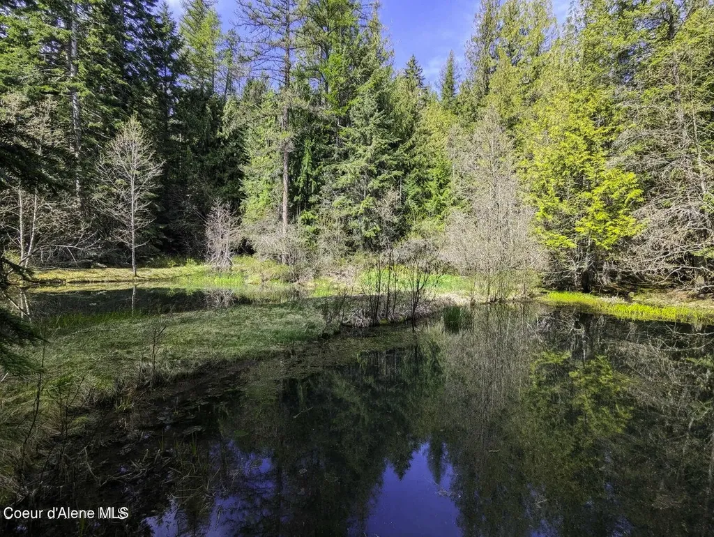 256 Poverty Lane Spirit Lake ID 83869