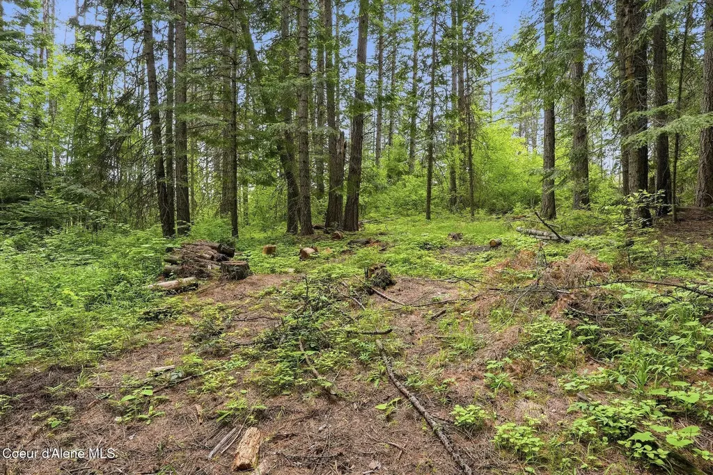 256 Poverty Lane Spirit Lake ID 83869