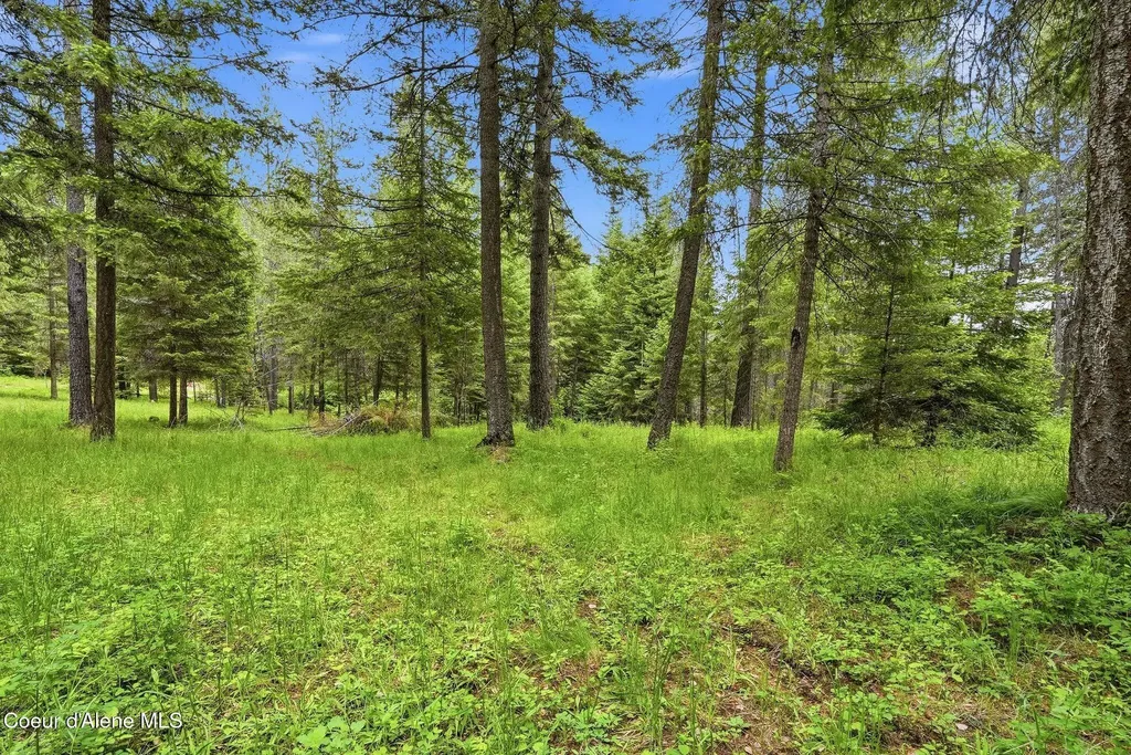 256 Poverty Lane Spirit Lake ID 83869
