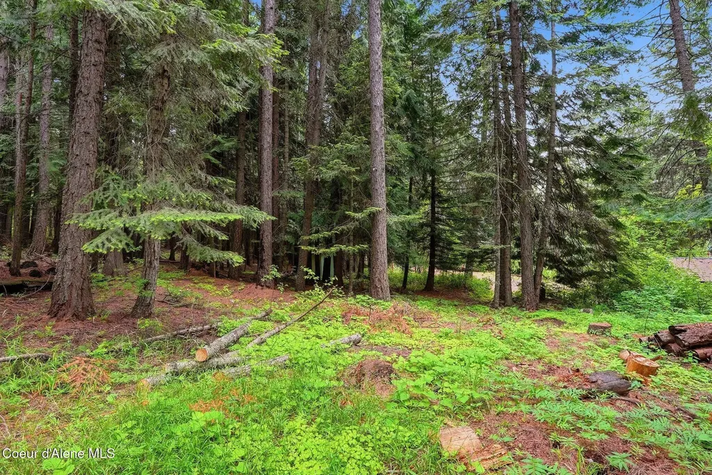 256 Poverty Lane Spirit Lake ID 83869