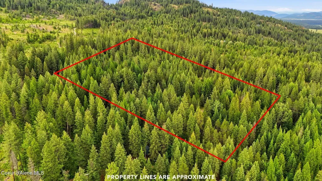 256 Poverty Lane Spirit Lake ID 83869