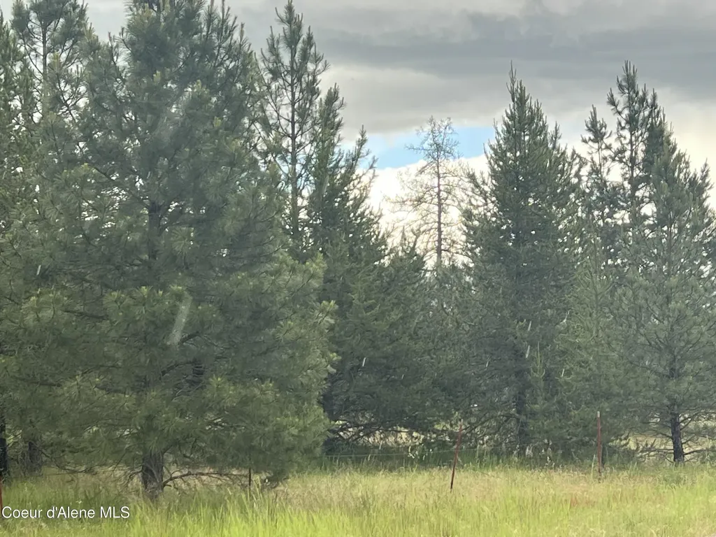 40 James Way Oldtown ID 83822