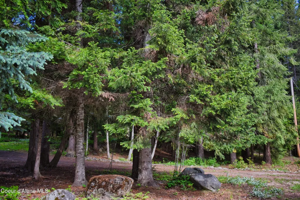 4801 Old Highway Two Loop Moyie Springs ID 83845