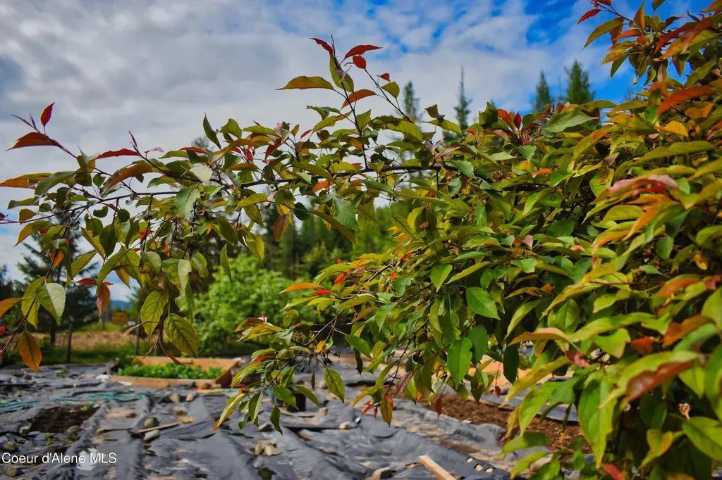 4801 Old Highway Two Loop Moyie Springs ID 83845