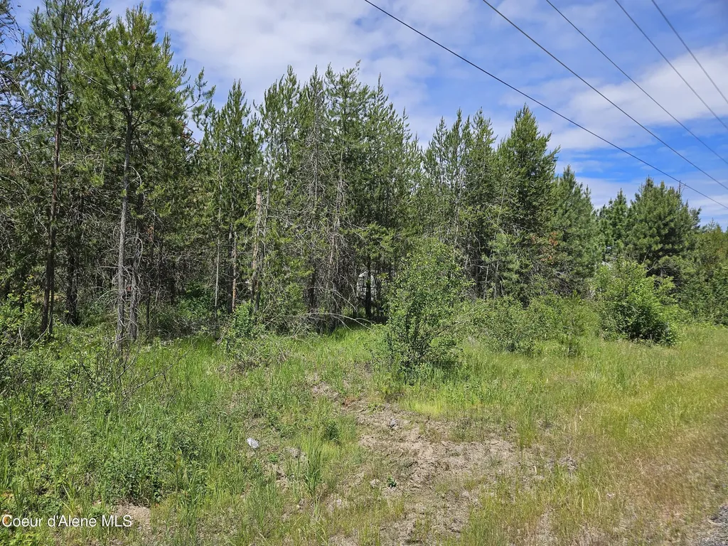 18819 N Ramsey Road Rathdrum ID 83858