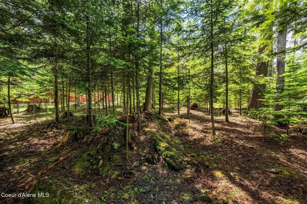 Nna Bruin Road Nordman ID 83848