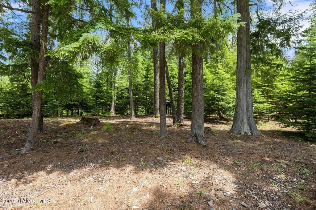 Nna Bruin Road Nordman ID 83848