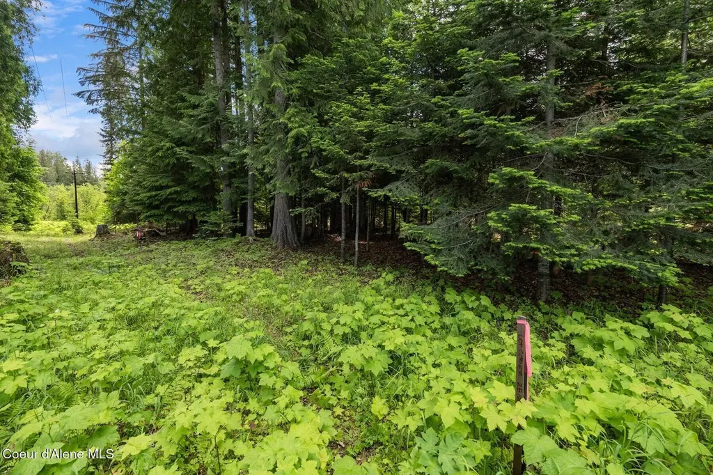 Nna Bruin Road Nordman ID 83848