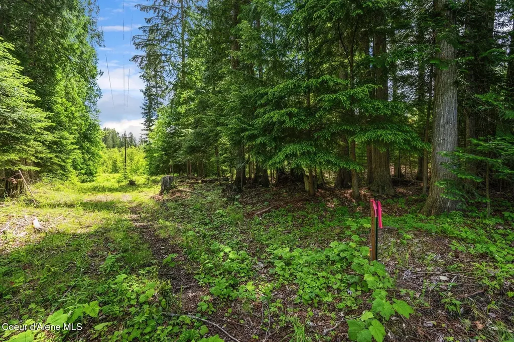 Nna Bruin Road Nordman ID 83848