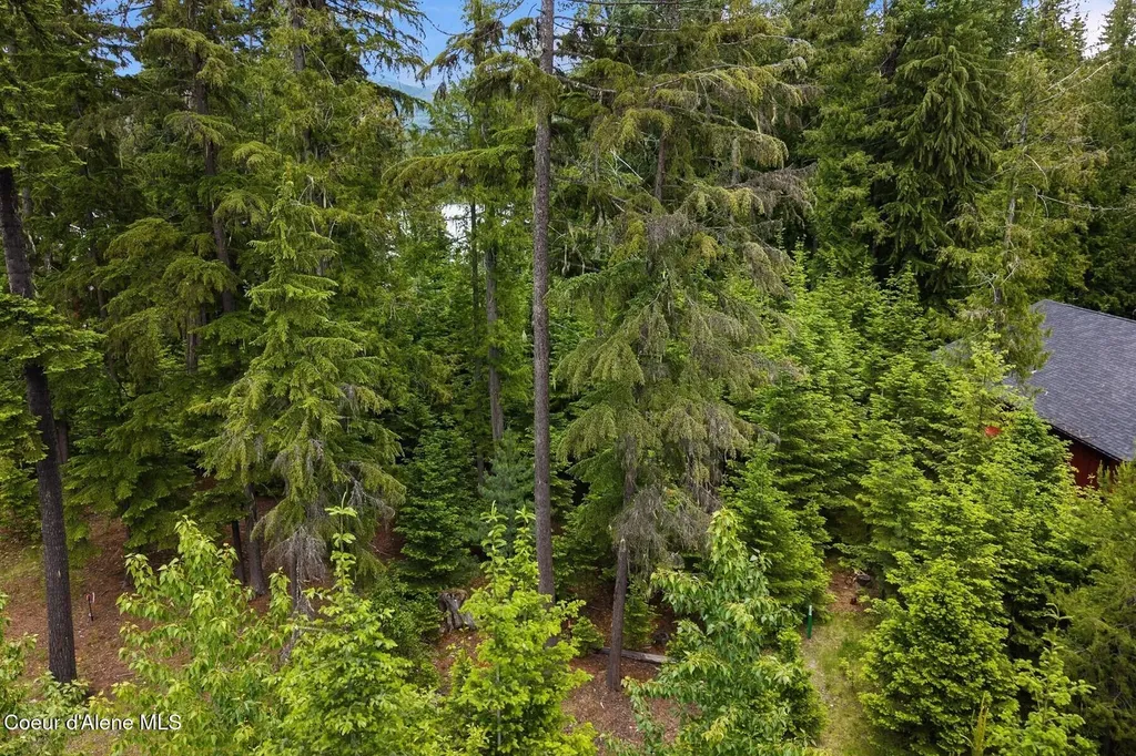 Nna Bruin Road Nordman ID 83848