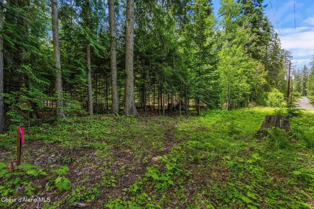 Nna Bruin Road Nordman ID 83848