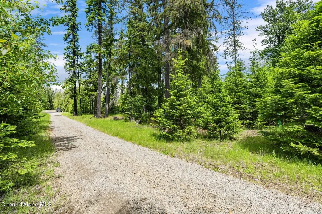 Nna Bruin Road Nordman ID 83848