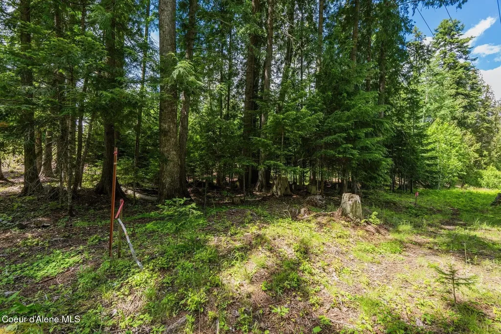 Nna Bruin Road Nordman ID 83848