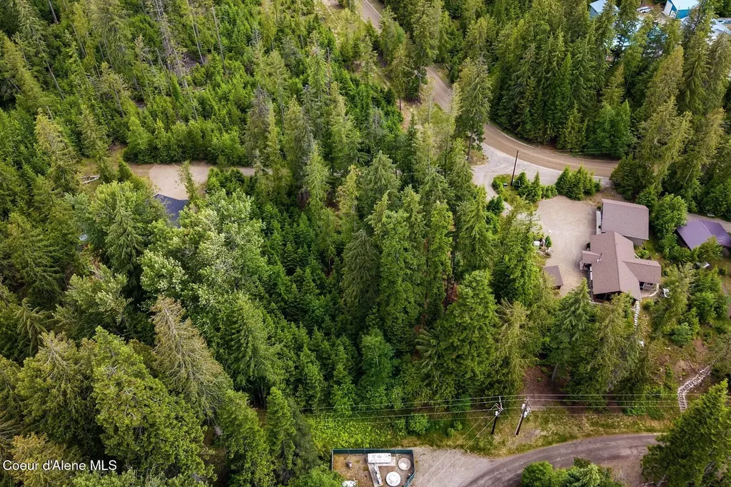 Nna Bruin Road Nordman ID 83848