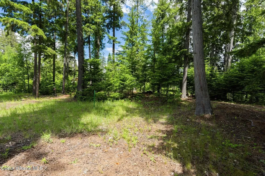 Nna Bruin Road Nordman ID 83848